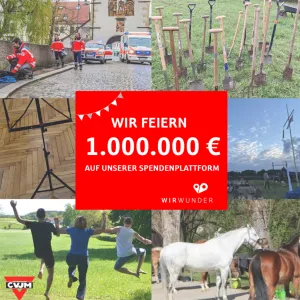 Vorschau: WirWunder_Million