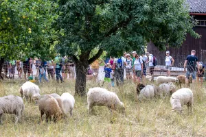 Vorschau: bb_ksk_spendenwanderung_23-07-2023_35