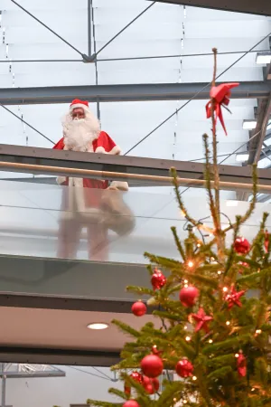 Vorschau: 2025-12-22 Naspa-Weihnachtswunschbaum1 (c) Paul Mueller
