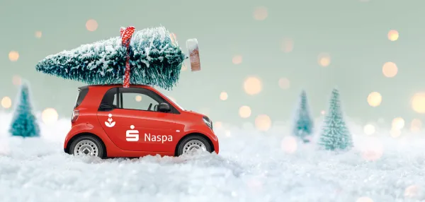 Bild zur Pressemitteilung: Die Naspa-Weihnachtssterne leuchten im 13-ten Jahr