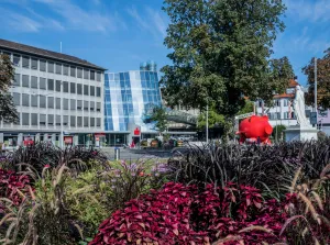 Bild: Schillerplatz mit Weltrekordsparschwein Louise