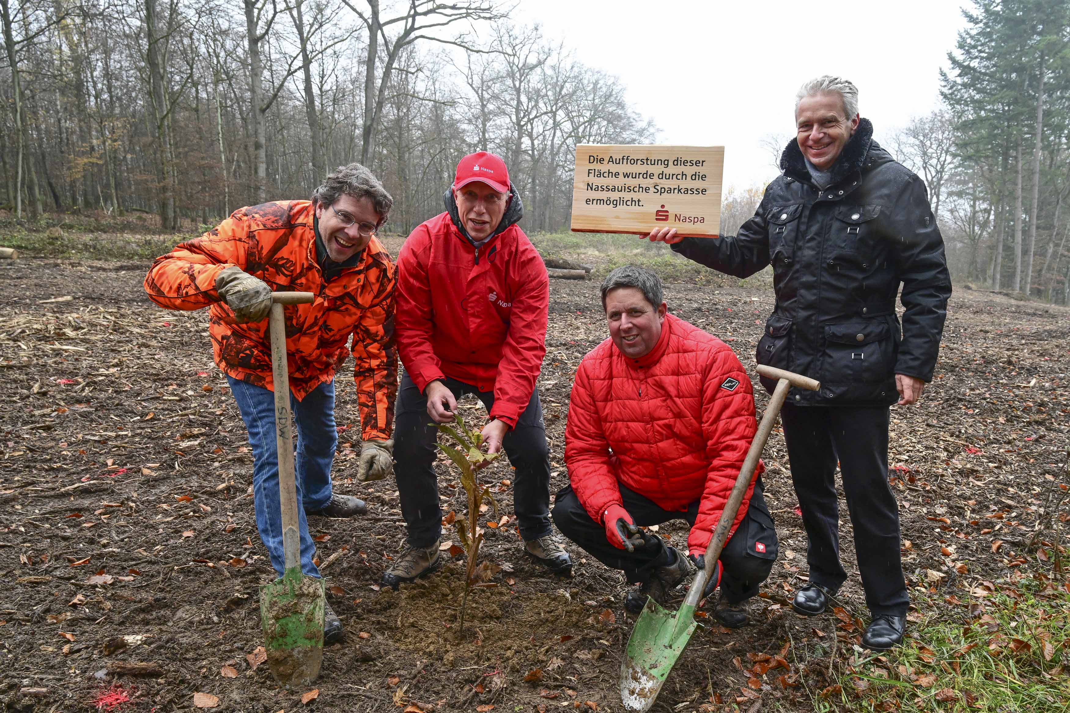 Naspa-Baumpflanzaktion_Kelkheim_01_Presse.jpg (26.11.2021 16:23)