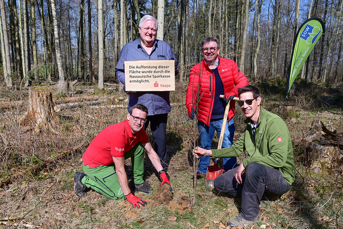 Baumpflanzaktion_Rhein-Lahn-Kreis-1_Presse.jpg (24.03.2022 09:35)